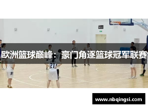 欧洲篮球巅峰：豪门角逐篮球冠军联赛